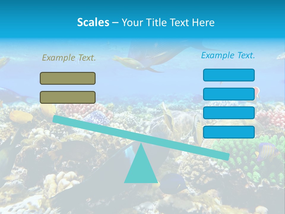 Sharm Live Close Up PowerPoint Template