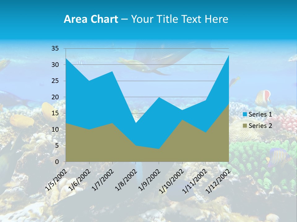 Sharm Live Close Up PowerPoint Template