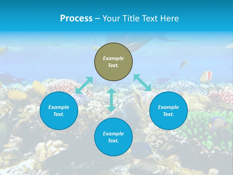 Sharm Live Close Up PowerPoint Template