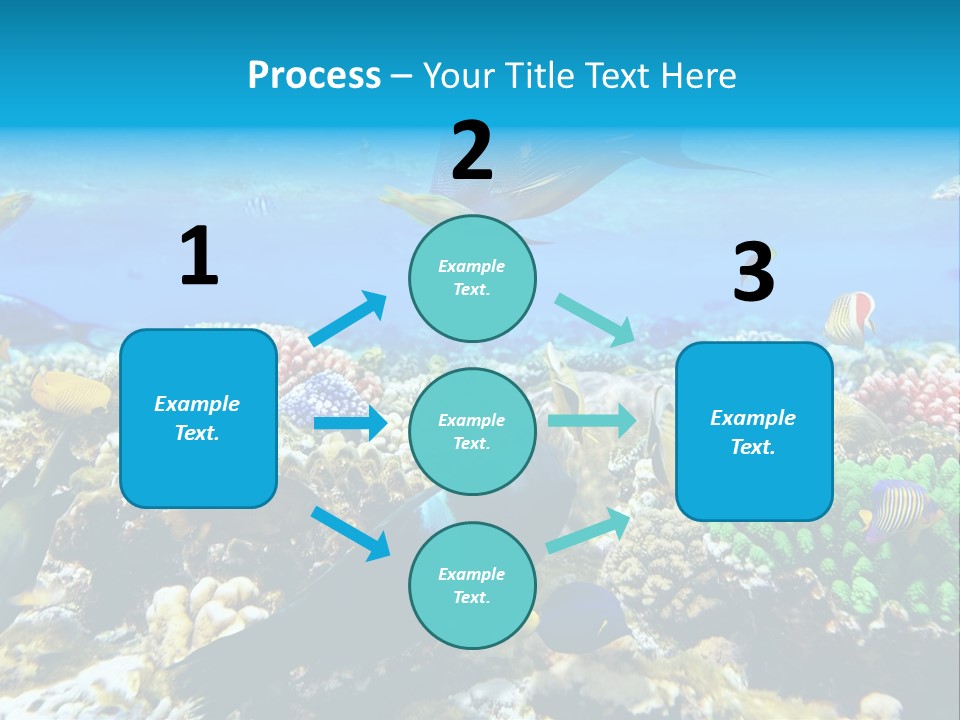 Sharm Live Close Up PowerPoint Template