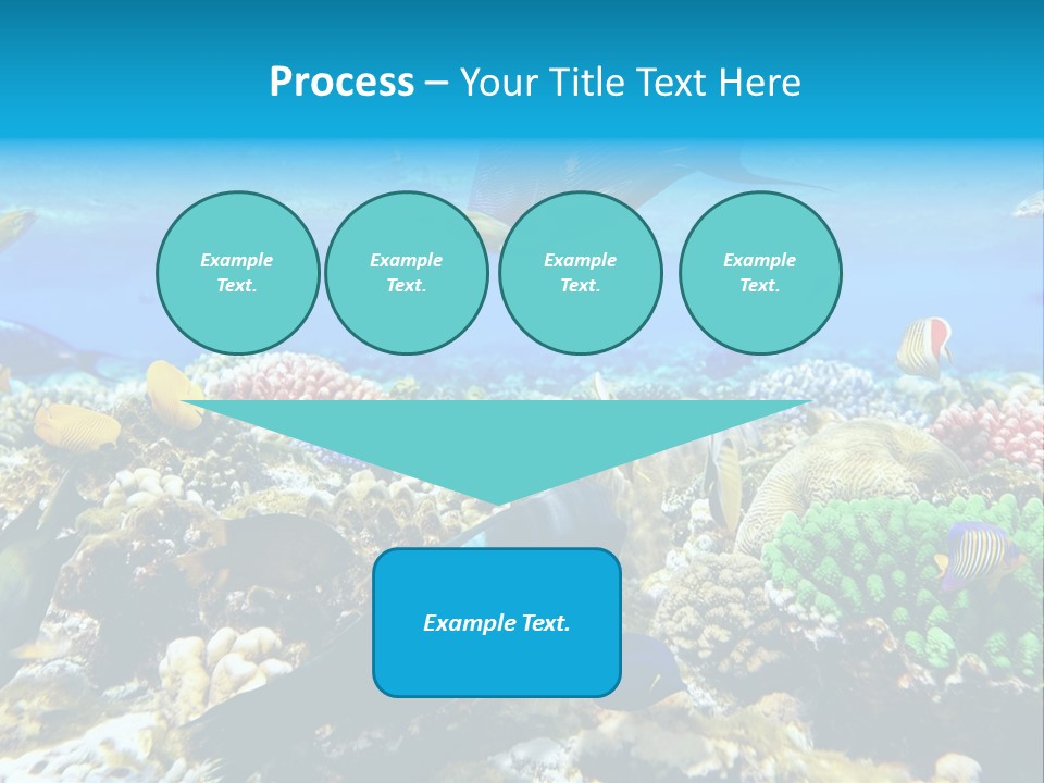 Sharm Live Close Up PowerPoint Template