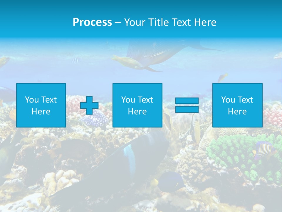 Sharm Live Close Up PowerPoint Template