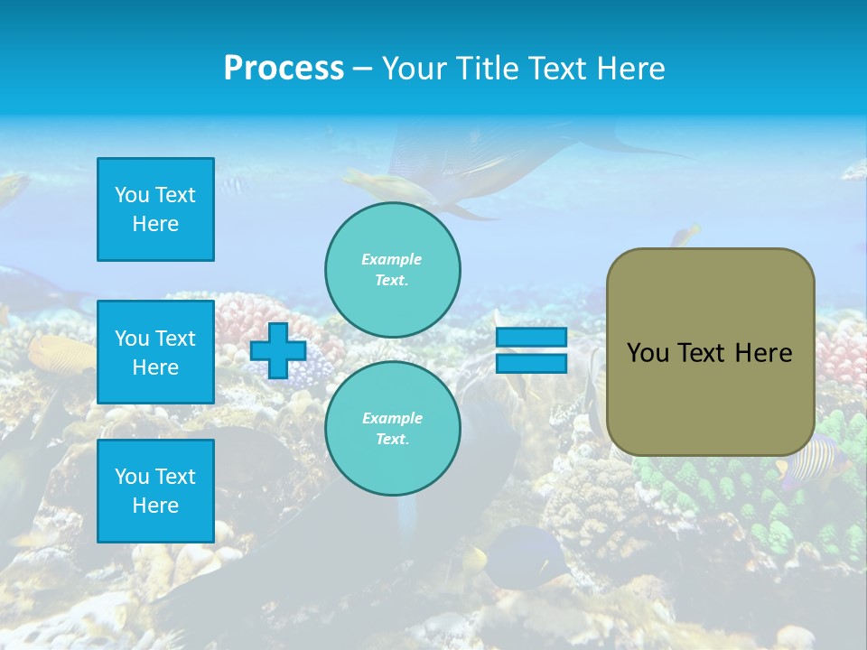 Sharm Live Close Up PowerPoint Template