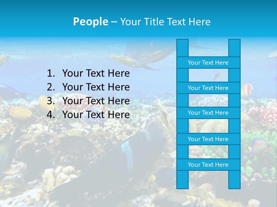 Sharm Live Close Up PowerPoint Template
