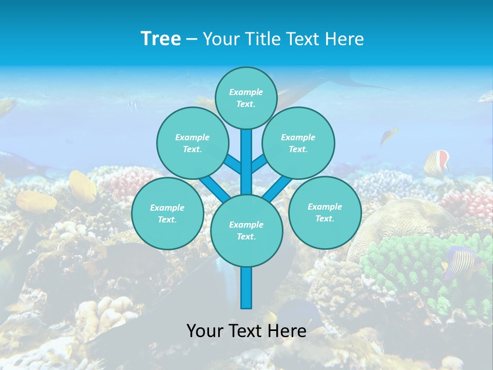 Sharm Live Close Up PowerPoint Template