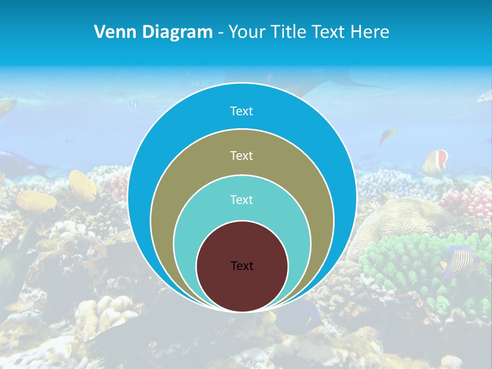 Sharm Live Close Up PowerPoint Template