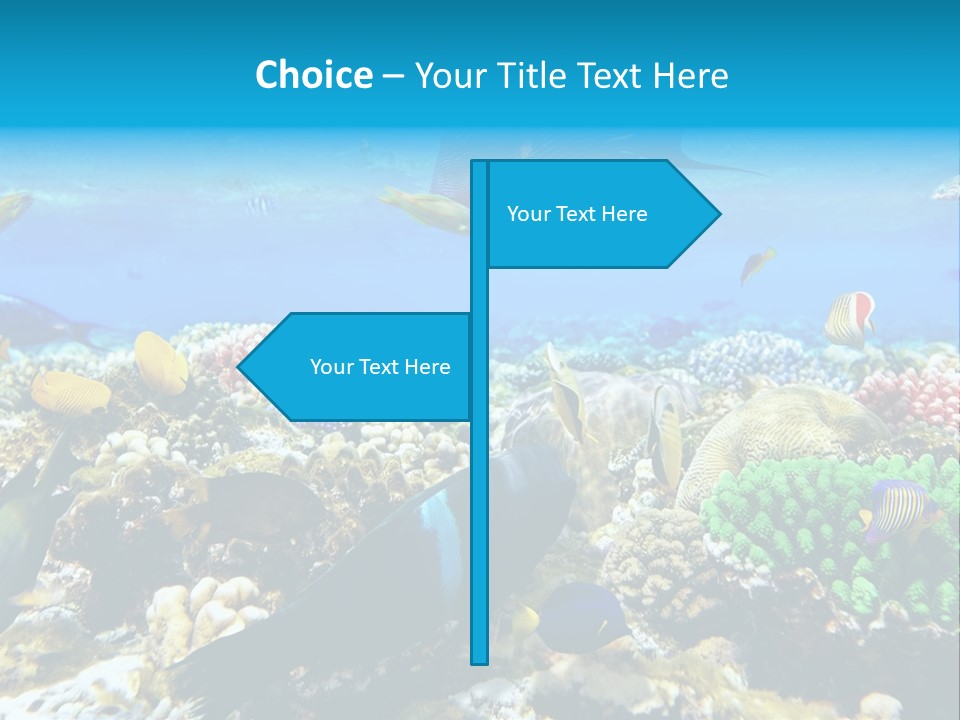 Sharm Live Close Up PowerPoint Template