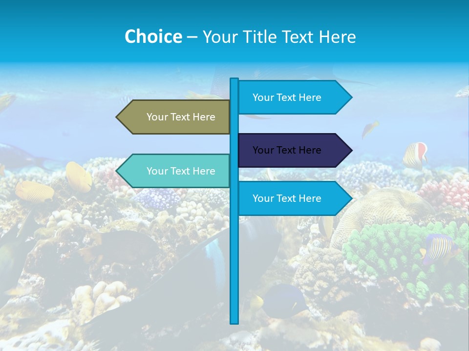 Sharm Live Close Up PowerPoint Template