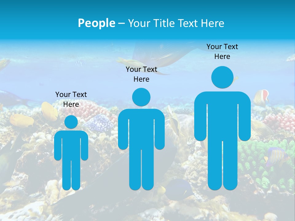 Sharm Live Close Up PowerPoint Template