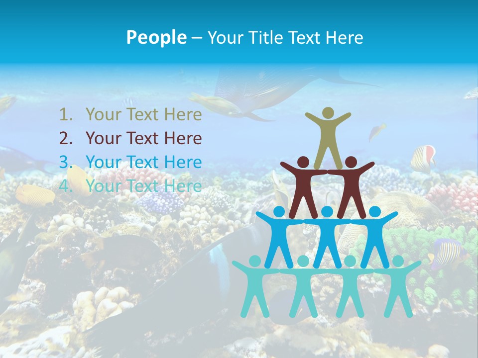 Sharm Live Close Up PowerPoint Template