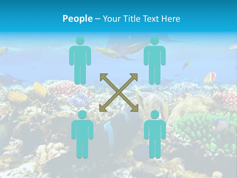 Sharm Live Close Up PowerPoint Template