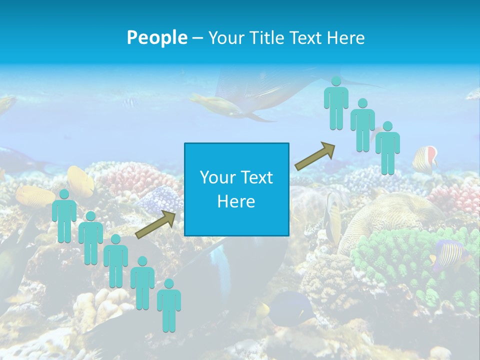 Sharm Live Close Up PowerPoint Template