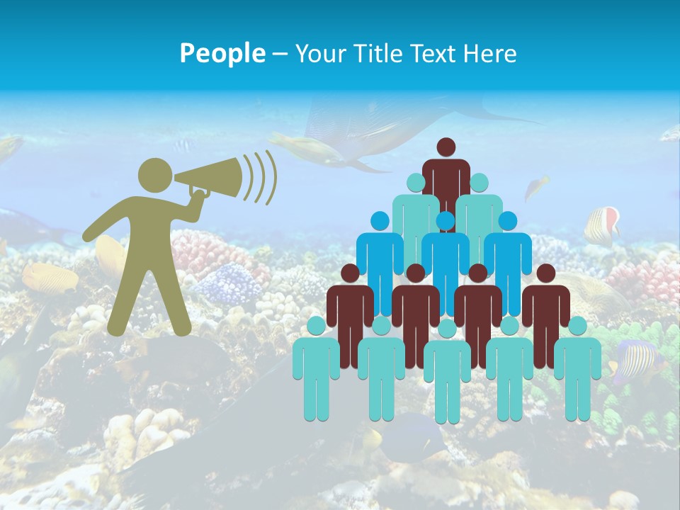 Sharm Live Close Up PowerPoint Template