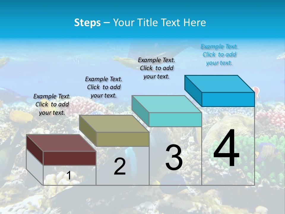 Sharm Live Close Up PowerPoint Template