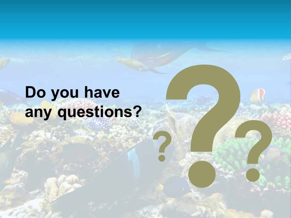 Sharm Live Close Up PowerPoint Template