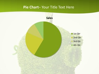 Sustainable Renewable Pig PowerPoint Template