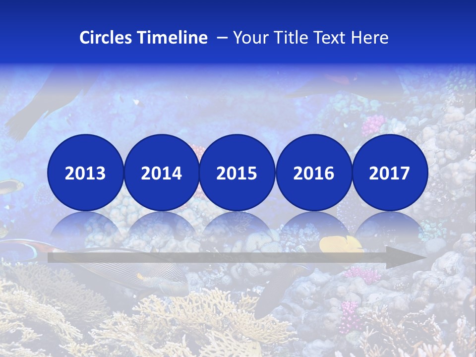 Egypt Aquatic Many PowerPoint Template