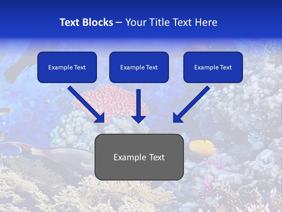 Egypt Aquatic Many PowerPoint Template