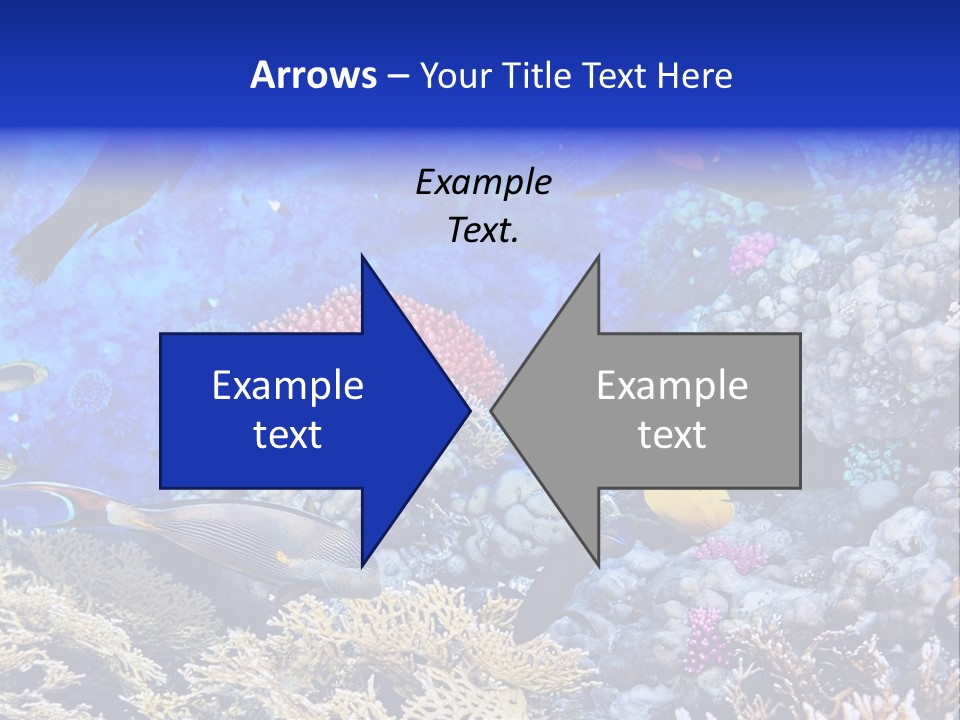 Egypt Aquatic Many PowerPoint Template