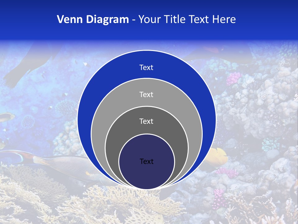 Egypt Aquatic Many PowerPoint Template