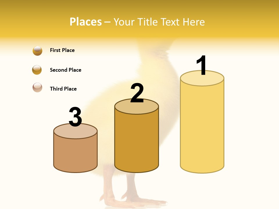 Vertebrate Farm Little PowerPoint Template