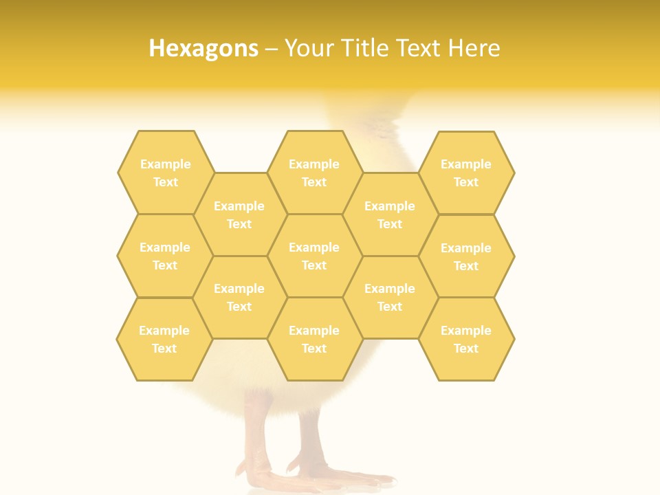 Vertebrate Farm Little PowerPoint Template