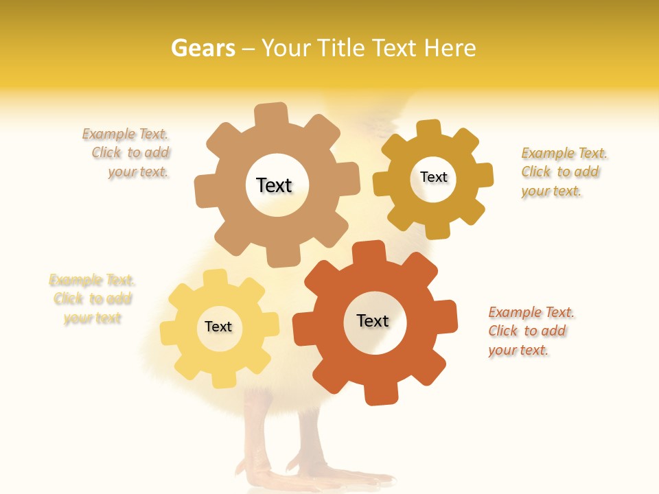 Vertebrate Farm Little PowerPoint Template