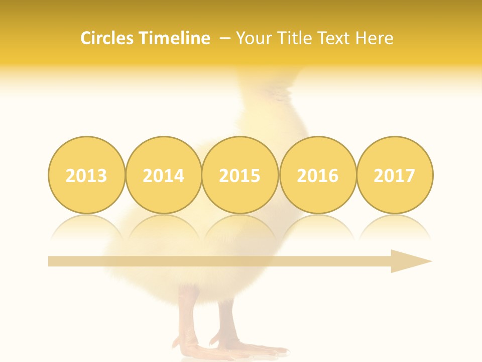 Vertebrate Farm Little PowerPoint Template