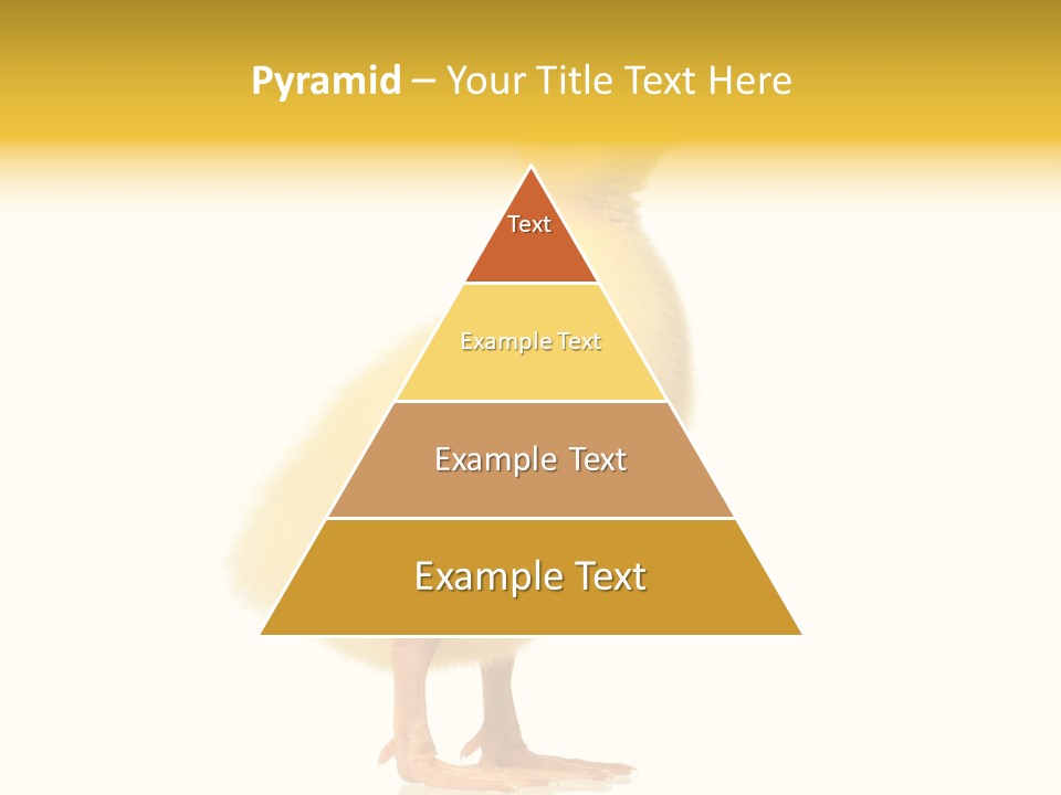 Vertebrate Farm Little PowerPoint Template