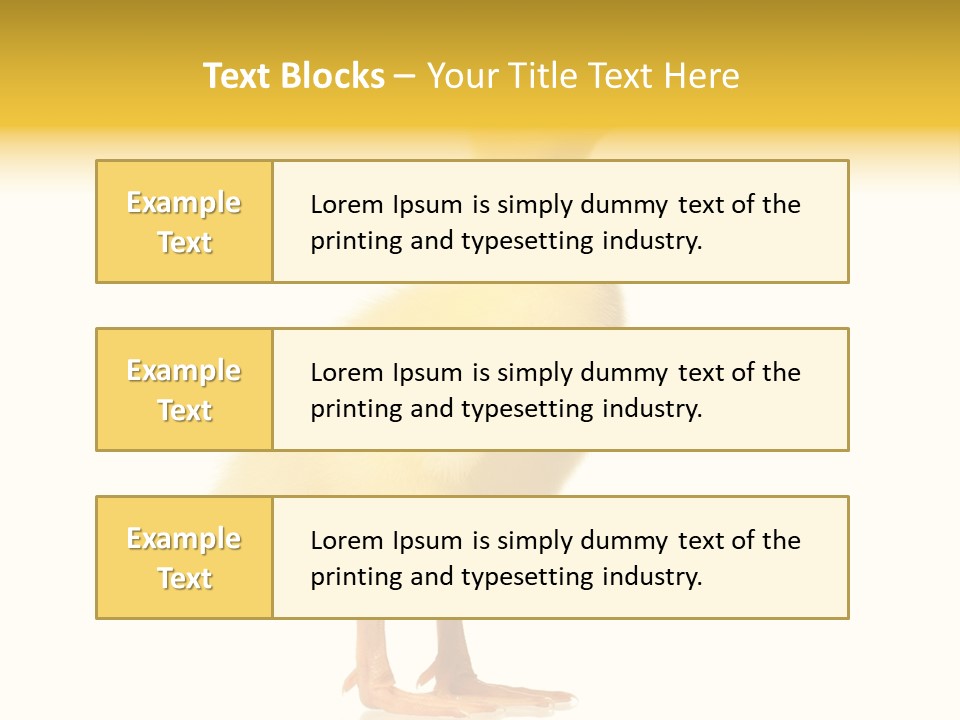 Vertebrate Farm Little PowerPoint Template