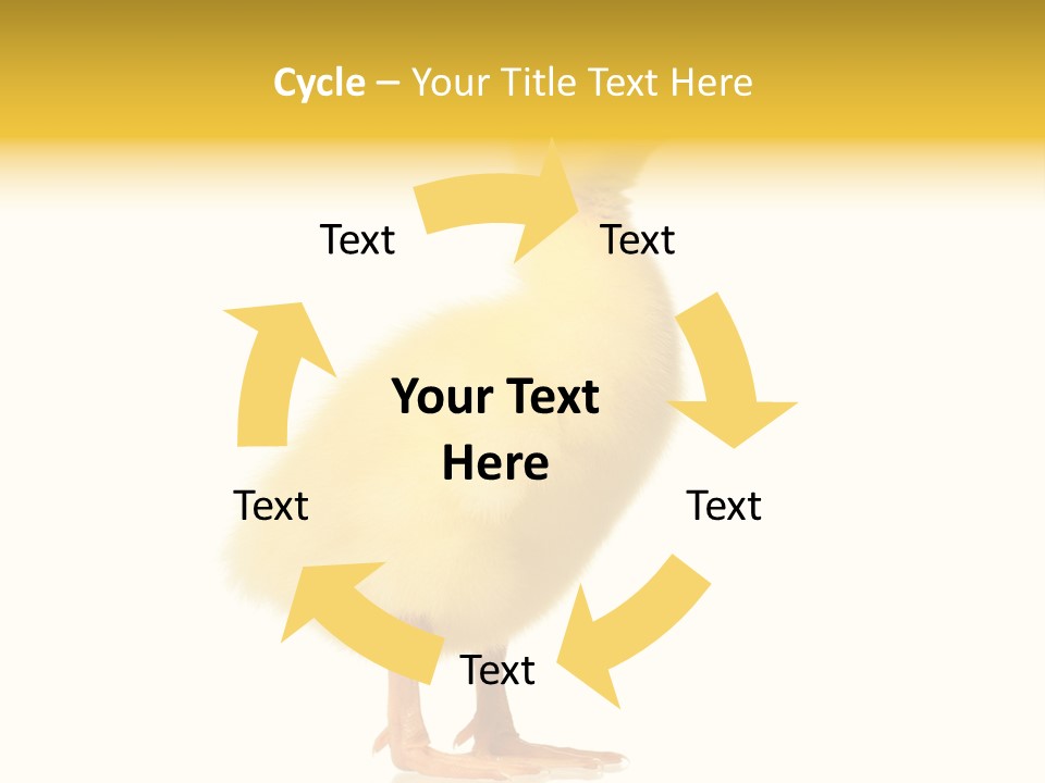 Vertebrate Farm Little PowerPoint Template