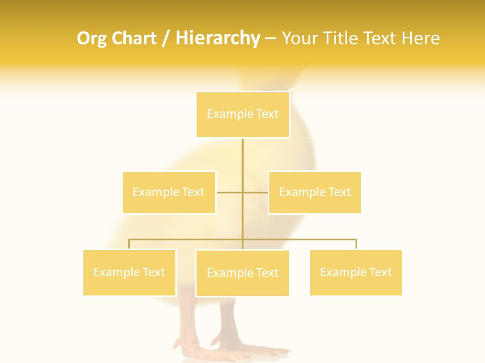 Vertebrate Farm Little PowerPoint Template