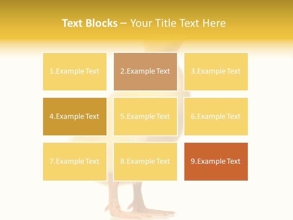 Vertebrate Farm Little PowerPoint Template