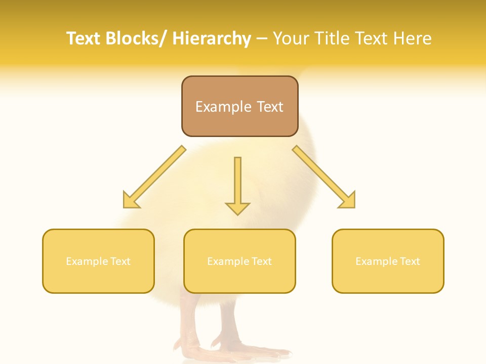 Vertebrate Farm Little PowerPoint Template
