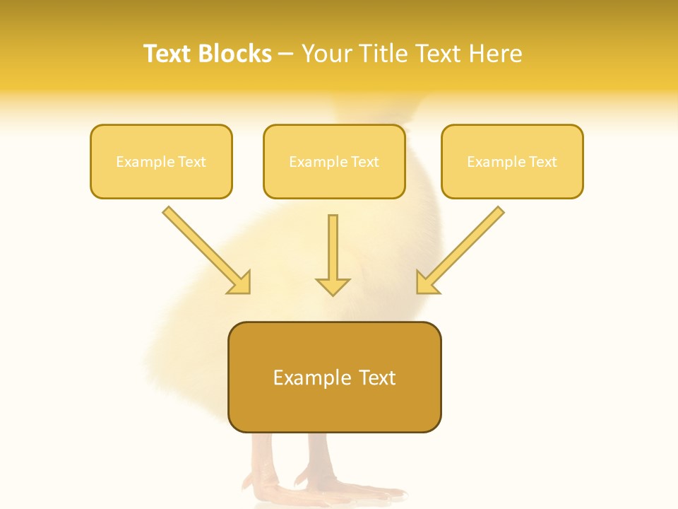 Vertebrate Farm Little PowerPoint Template