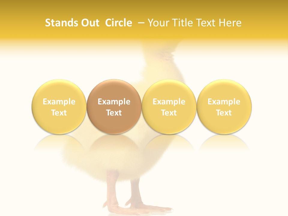 Vertebrate Farm Little PowerPoint Template