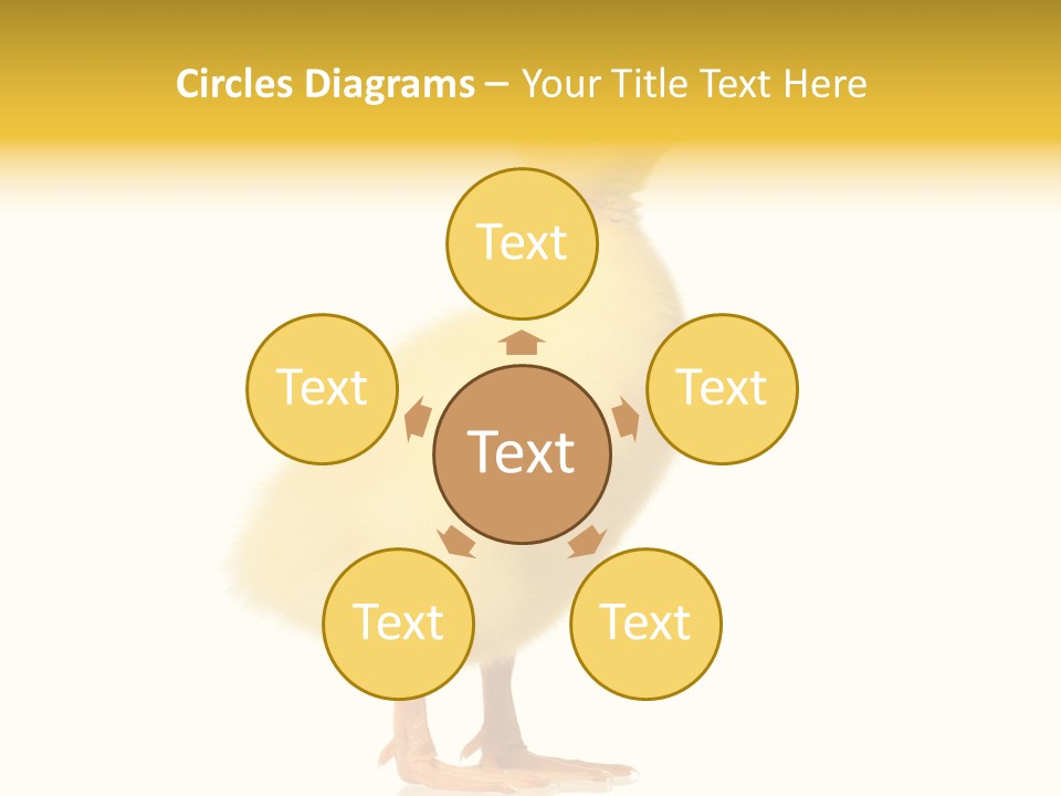 Vertebrate Farm Little PowerPoint Template