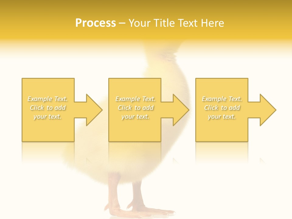 Vertebrate Farm Little PowerPoint Template