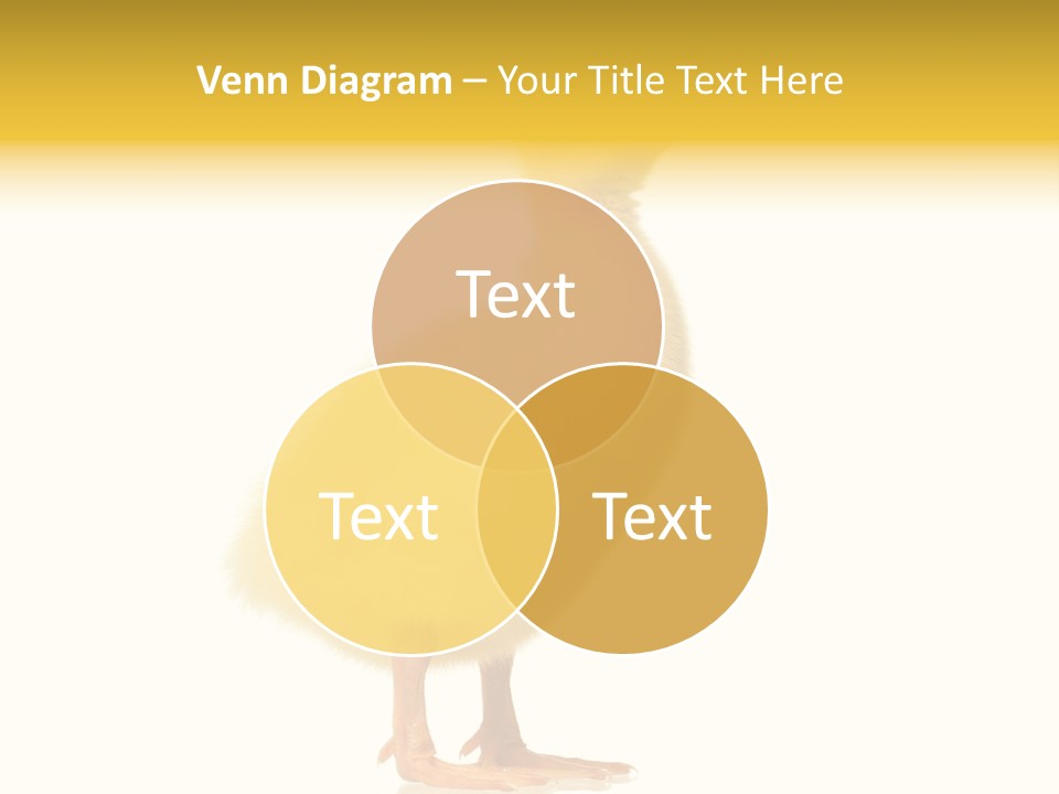 Vertebrate Farm Little PowerPoint Template