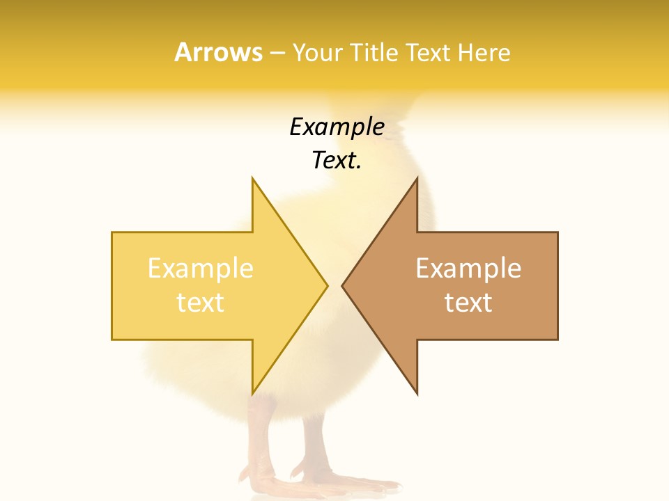 Vertebrate Farm Little PowerPoint Template