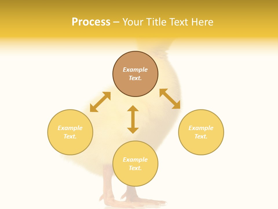 Vertebrate Farm Little PowerPoint Template