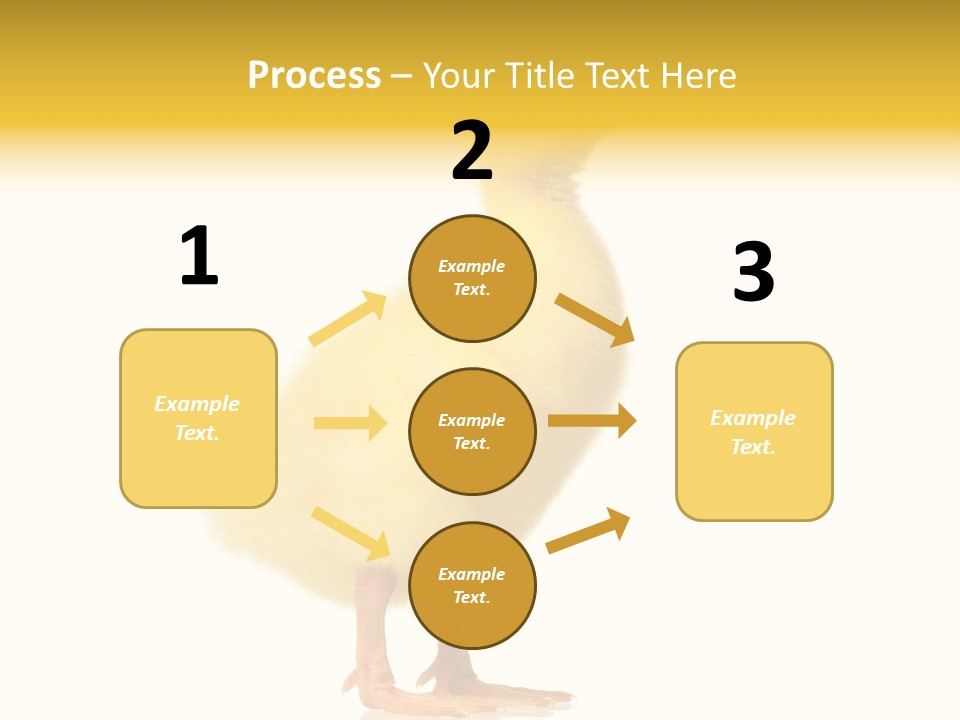 Vertebrate Farm Little PowerPoint Template