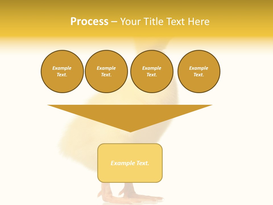 Vertebrate Farm Little PowerPoint Template