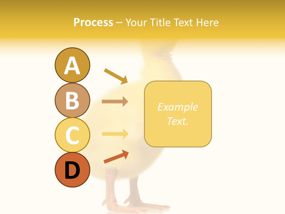 Vertebrate Farm Little PowerPoint Template