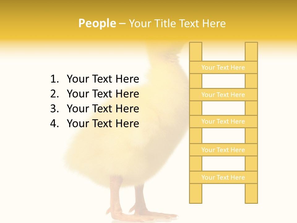 Vertebrate Farm Little PowerPoint Template