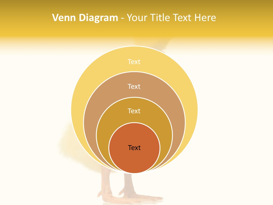 Vertebrate Farm Little PowerPoint Template