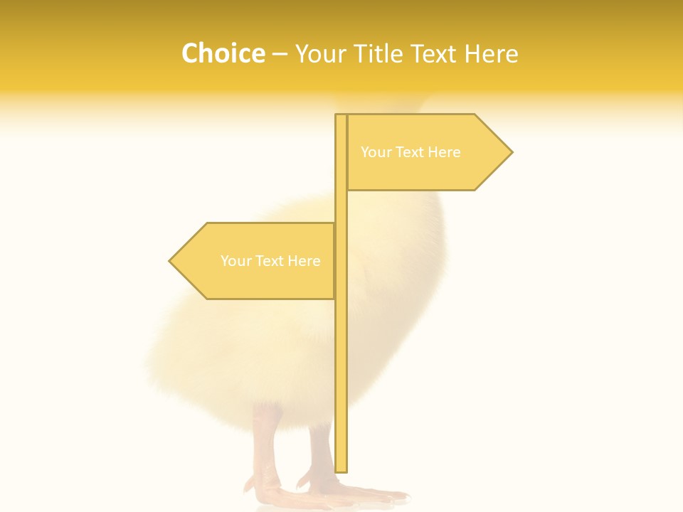 Vertebrate Farm Little PowerPoint Template