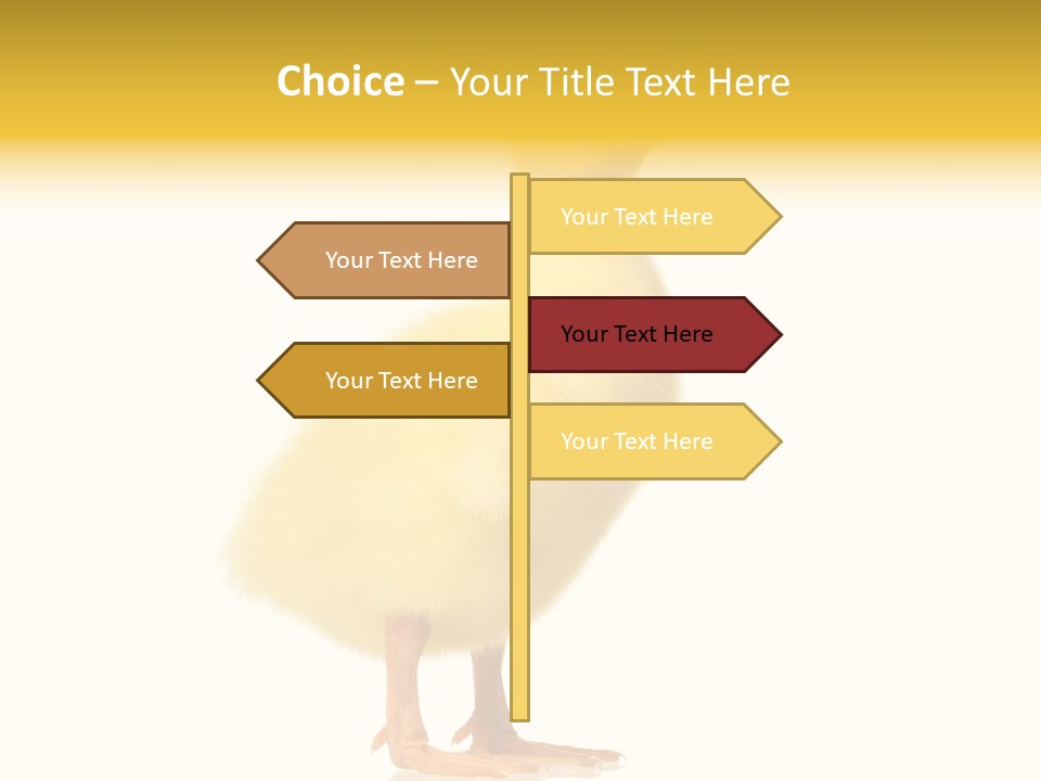 Vertebrate Farm Little PowerPoint Template