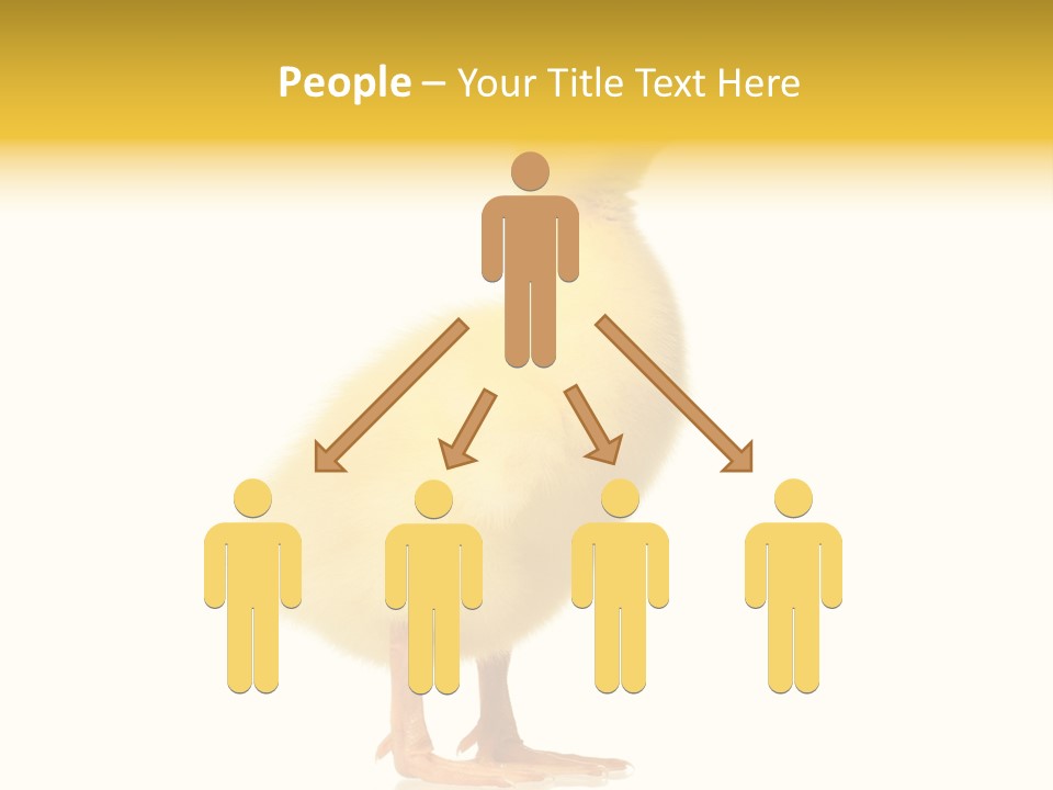 Vertebrate Farm Little PowerPoint Template