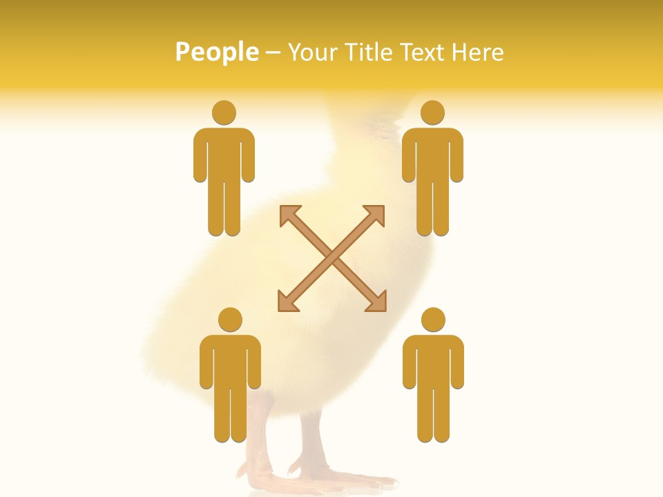 Vertebrate Farm Little PowerPoint Template